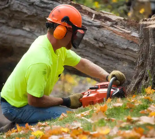 tree services Moss Point